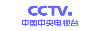 项目案例